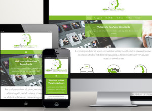 New View Consultants - Responsive Showcase